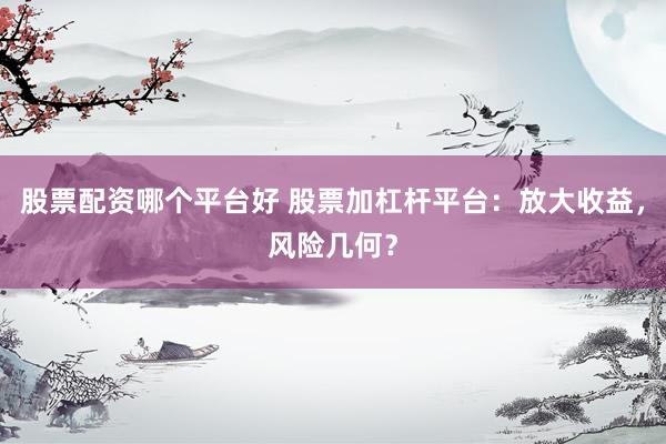 股票配资哪个平台好 股票加杠杆平台：放大收益，风险几何？