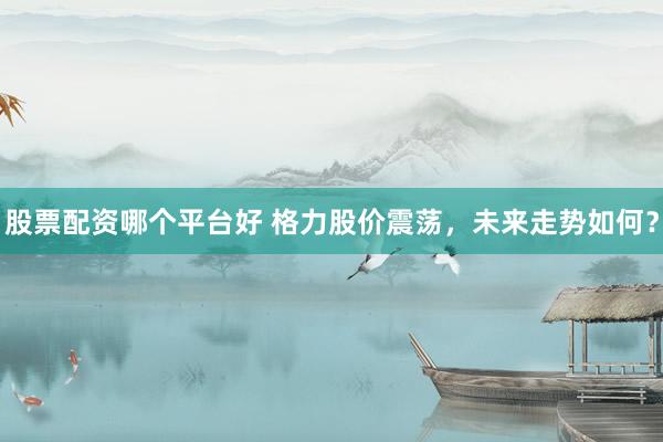 股票配资哪个平台好 格力股价震荡，未来走势如何？