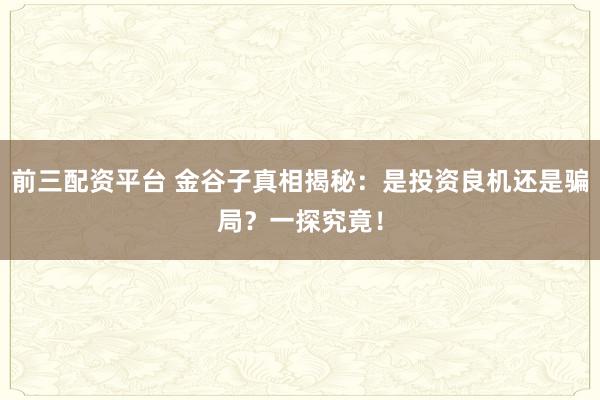 前三配资平台 金谷子真相揭秘：是投资良机还是骗局？一探究竟！