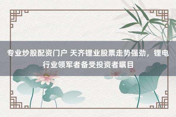 专业炒股配资门户 天齐锂业股票走势强劲，锂电行业领军者备受投资者瞩目