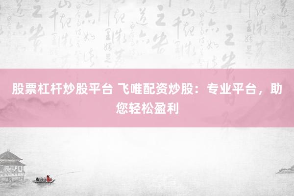 股票杠杆炒股平台 飞唯配资炒股：专业平台，助您轻松盈利