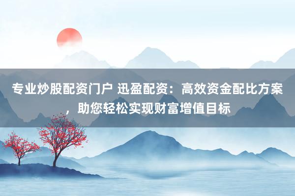 专业炒股配资门户 迅盈配资：高效资金配比方案，助您轻松实现财富增值目标