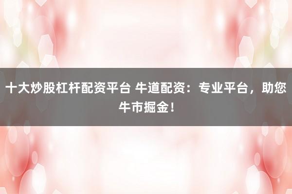 十大炒股杠杆配资平台 牛道配资：专业平台，助您牛市掘金！