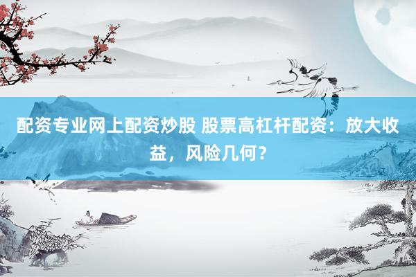 配资专业网上配资炒股 股票高杠杆配资：放大收益，风险几何？