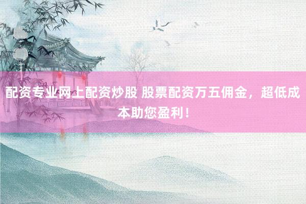 配资专业网上配资炒股 股票配资万五佣金，超低成本助您盈利！