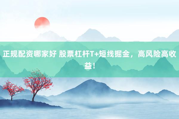 正规配资哪家好 股票杠杆T+短线掘金，高风险高收益！