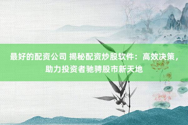 最好的配资公司 揭秘配资炒股软件：高效决策，助力投资者驰骋股市新天地
